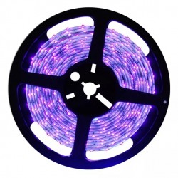 Tasma LED UV Ultrafiolet 5050 12V 1m PREMIUM