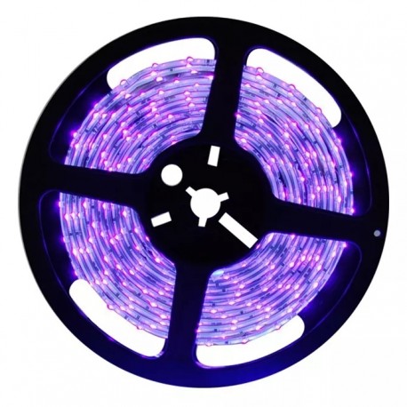Taśma LED UV Ultrafiolet 2835 12V 1m PREMIUM